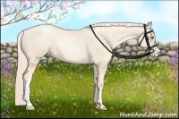 Horse Color:Gold Cream Champagne Pearl 