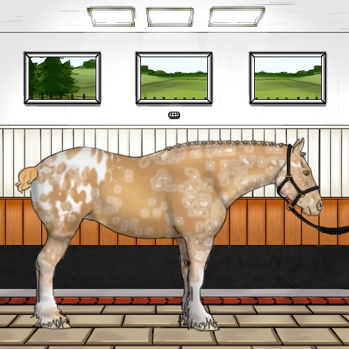 Horse Color:Gold Champagne Ice Sabino Appaloosa 