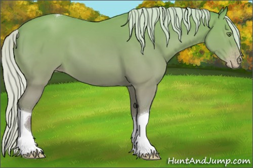 Horse Color:Watercolor Silver Sable Champagne Tobiano Rabicano