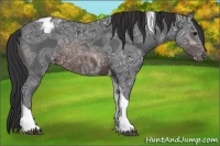 Horse Color:Brown Ice Tobiano Varnish 