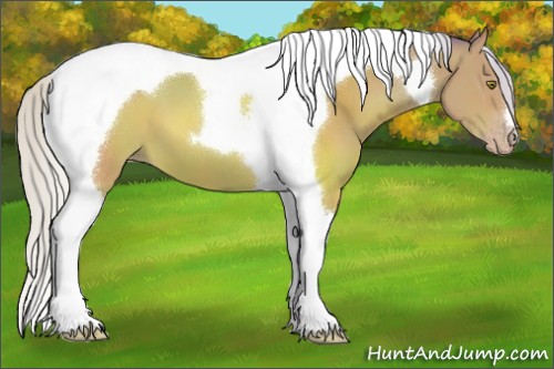 Horse Color:Watercolor Silver Sable Champagne Tobiano