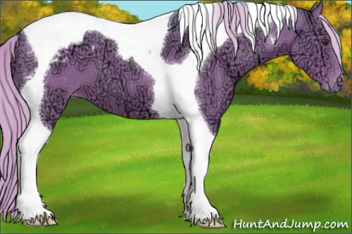 Horse Color:Watercolor Liver Chestnut Ice Tobiano Blanket