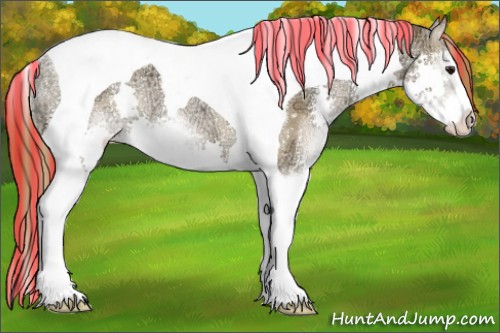 Horse Color:Painted Black Ice Pearl Sabino Splash Tobiano Appaloosa Rabicano 