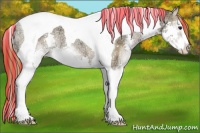 Horse Color:Painted Black Ice Pearl Sabino Splash Tobiano Appaloosa Rabicano