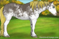 Horse Color:Painted Silver Black Sabino Splash