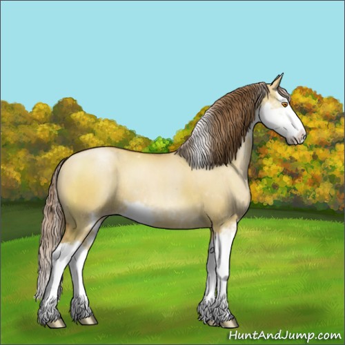 Horse Color:Brown Pearl Dun Sabino Splash 
