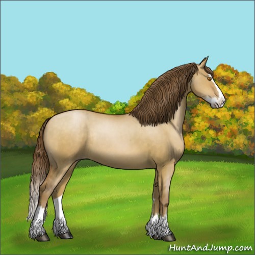 Horse Color:Brown Pearl Dun Sabino Splash Rabicano 