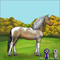 Horse Color:Brown Dun Sabino Tobiano