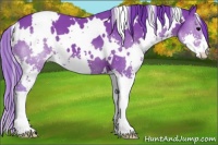 Horse Color:Watercolor White Spotted Black Splash 