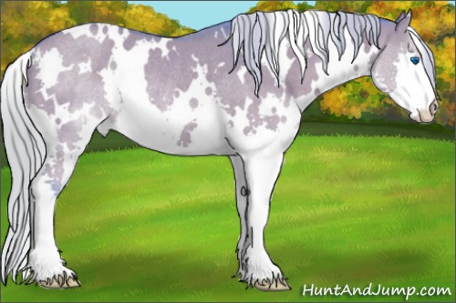 Horse Color:Watercolor White Spotted Silver Grullo Splash Rabicano 