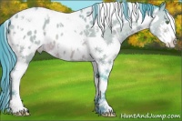 Horse Color:Watercolor White Spotted Sable Champagne Splash Tobiano Appaloosa 
