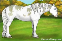 Horse Color:Watercolor White Spotted Silver Brown Splash 