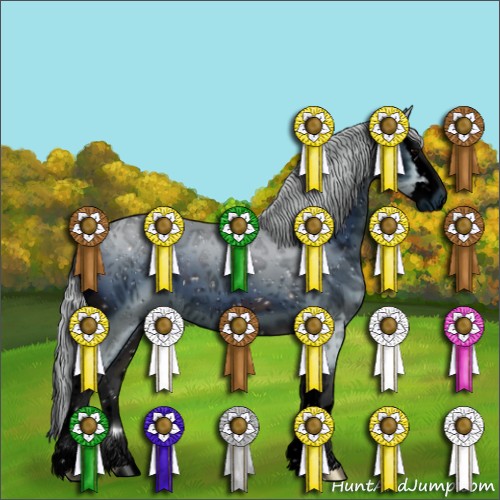 Horse Color:ERROR: UNKNOWN ANOMALY