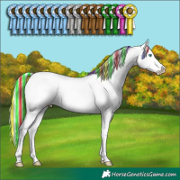 Horse Color:Painted Silver Classic Champagne Pearl Dun Tobiano Appaloosa Rabicano