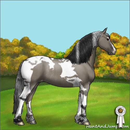 Horse Color:Grullo Sabino Tobiano Appaloosa Rabicano