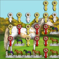 Horse Color:Gold Champagne Dun Sabino Tobiano Blanket 