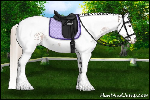 Horse Color:White Spotted Silver Brown Splash Tobiano