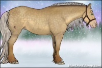 Horse Color:Silver Classic Cream Champagne 