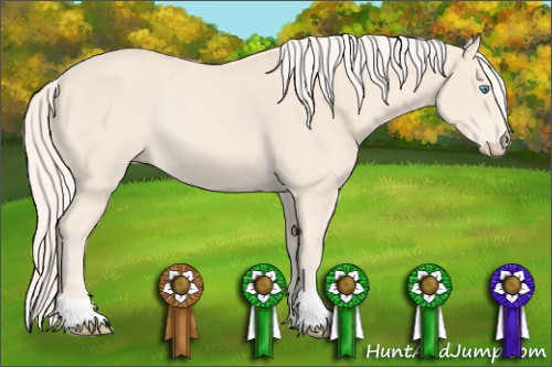 Horse Color:Cremello Rabicano 