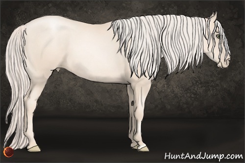 Horse Color:Gold Cream Champagne Pearl 
