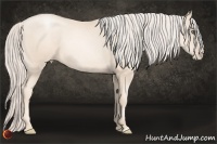 Horse Color:Gold Cream Champagne Pearl