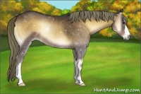 Horse Color:Liver Red Onyx