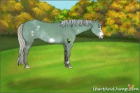 Horse Color:White Spotted Silver Classic Cream Champagne Dun Frame 