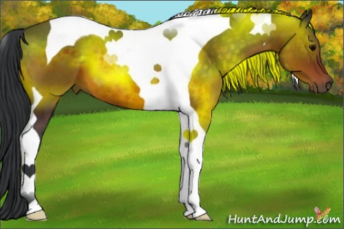 Horse Color:Brown Tobiano 