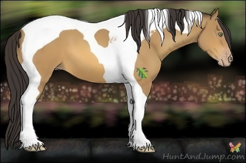 Horse Color:Amber Champagne Tobiano 