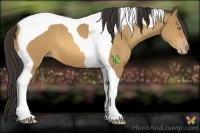 Horse Color:Amber Champagne Tobiano 