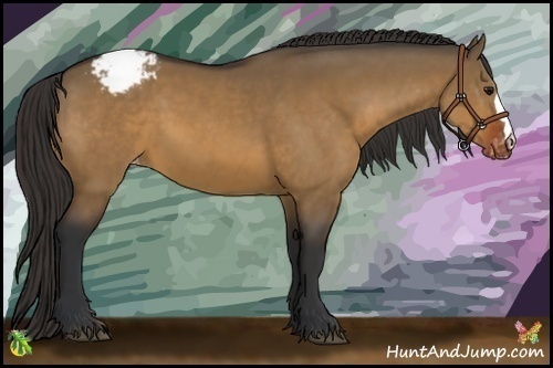 Horse Color:Brown Dun Snowcap 