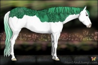 Horse Color:Watercolor Black Ice Splash