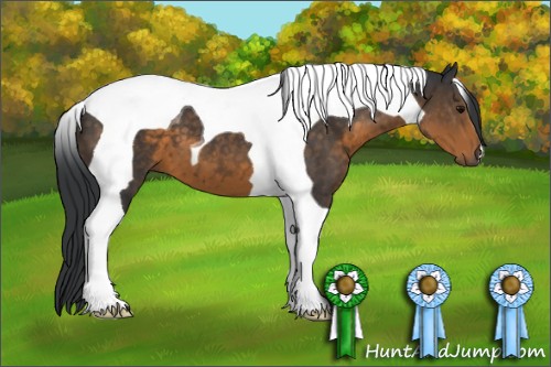 Horse Color:Buckskin Tobiano