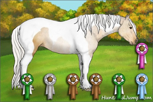 Horse Color:Silver Buckskin Tobiano 