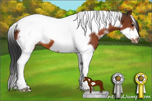Horse Color:White Spotted Bay Tobiano Frame 