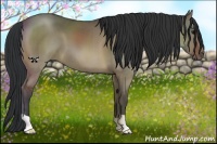 Horse Color:Brown Dun Brindle 