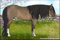 Horse Color:Brown Dun Brindle 