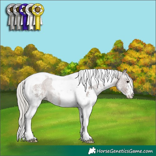 Horse Color:White Spotted Silver Black Tobiano 