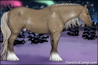 Horse Color:Silver Grullo