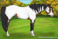 Horse Color:Brown Frame Snowcap 