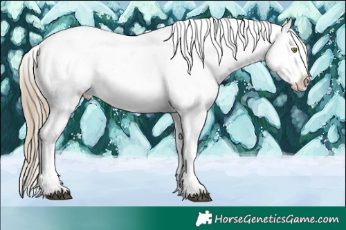 Horse Color:White Spotted Chocolate Palomino Dun Mushroom Blanket