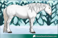 Horse Color:White Spotted Chocolate Palomino Dun Mushroom Appaloosa 