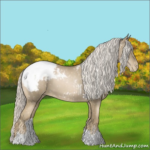 Horse Color:Chocolate Palomino Pearl Appaloosa 