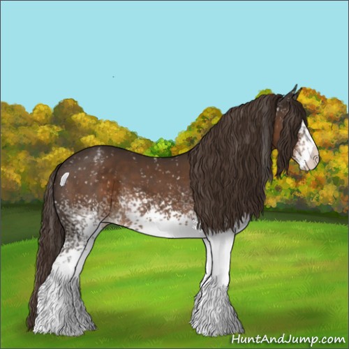 Horse Color:White Spotted Liver Chestnut Appaloosa 