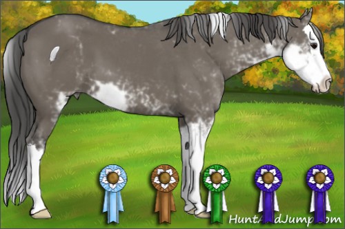 Horse Color:Smoky Grullo Sabino Splash 