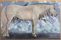 Horse Color:Silver Grullo Ice 