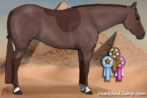 Horse Color:Gray Chocolate Black 