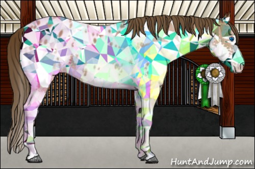 Horse Color:Bay Splash Appaloosa