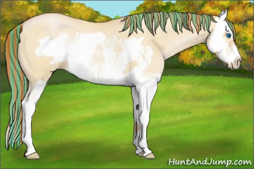 Horse Color:Painted Buckskin Roan Pearl Dun Splash Frame 