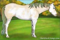 Horse Color:Painted Buckskin Roan Pearl Dun Splash Frame